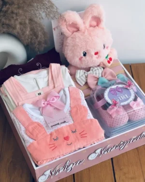 Premium Baby Girl Gift Set