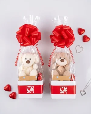 Mini Teddy Gift Hamper